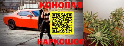 ALPHA PVP Гай