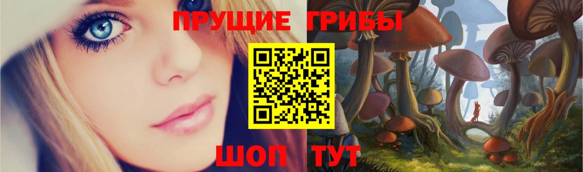 Гагарин  цены наркотик  Вход с VPN  Галлюциногенные грибы мицелий 